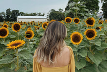 Load image into Gallery viewer, Sunflower Balloon Sleeve Tie Front Top